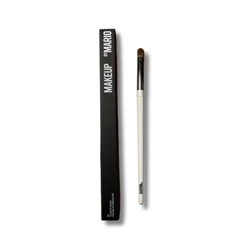 E5 brush Mario