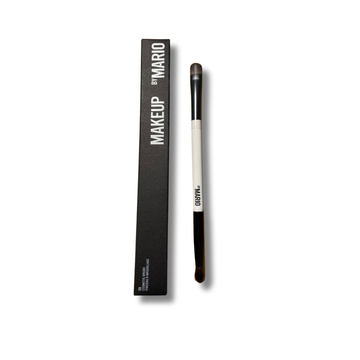 E6 brush Mario