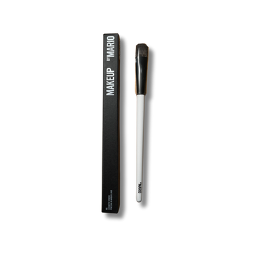 F5 brush Mario